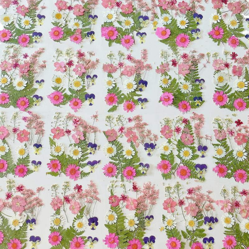 Flores de Plantas Secas Prensa - Art Craft Flower Making reseña y precio