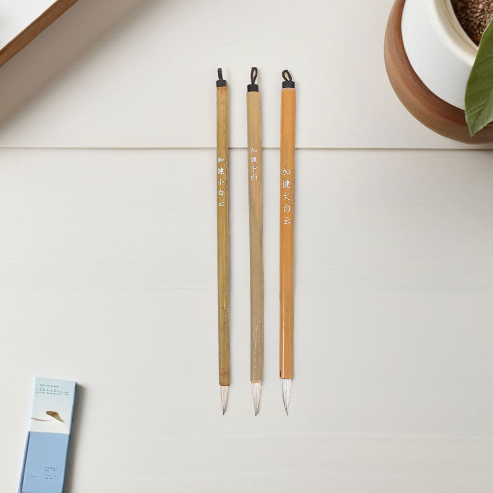 Juego de 9 pinceles de bambú p - Watercolor Brush Pen reseña y precio